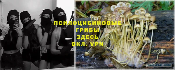 эйфоретик Нягань