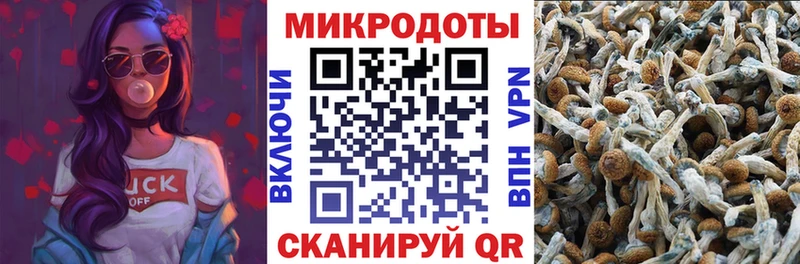 Галлюциногенные грибы прущие грибы  Купить где  Джанкой 